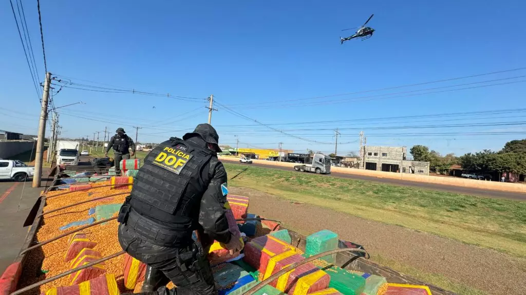 DOF apreende mais de 15 toneladas de drogas em meio a carregamento de milho em Amambai DOF apreende mais de 15 toneladas de drogas em meio a carregamento de milho em Amambai