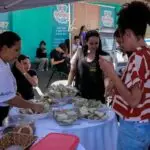 Naviraí: 1º Feirão de Empregos conecta trabalhadores à empresas e lança Qualificações