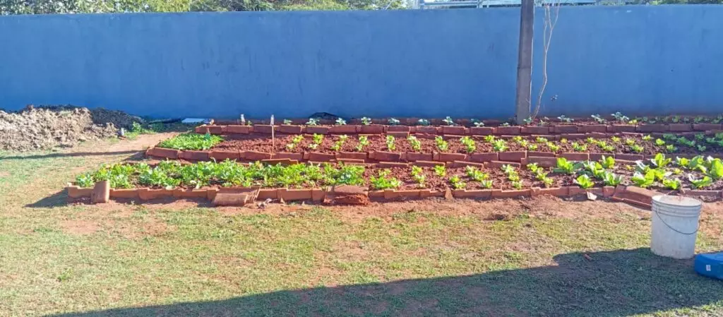 Saúde mental em foco: 4 meses do CAPS de Amambai mostram avanço na RAPS estadual