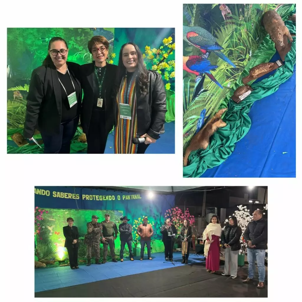 Iguatemi: Escola Ativa realiza projeto em defesa do Pantanal para o Agrinho 2025 Iguatemi: Escola Ativa realiza projeto em defesa do Pantanal para o Agrinho 2025