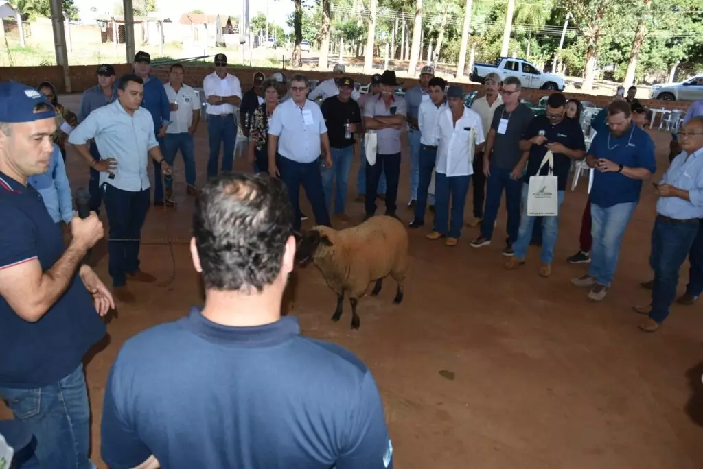 Prefeitura de Iguatemi promove 1º Encontro Técnico de Ovinocultura
