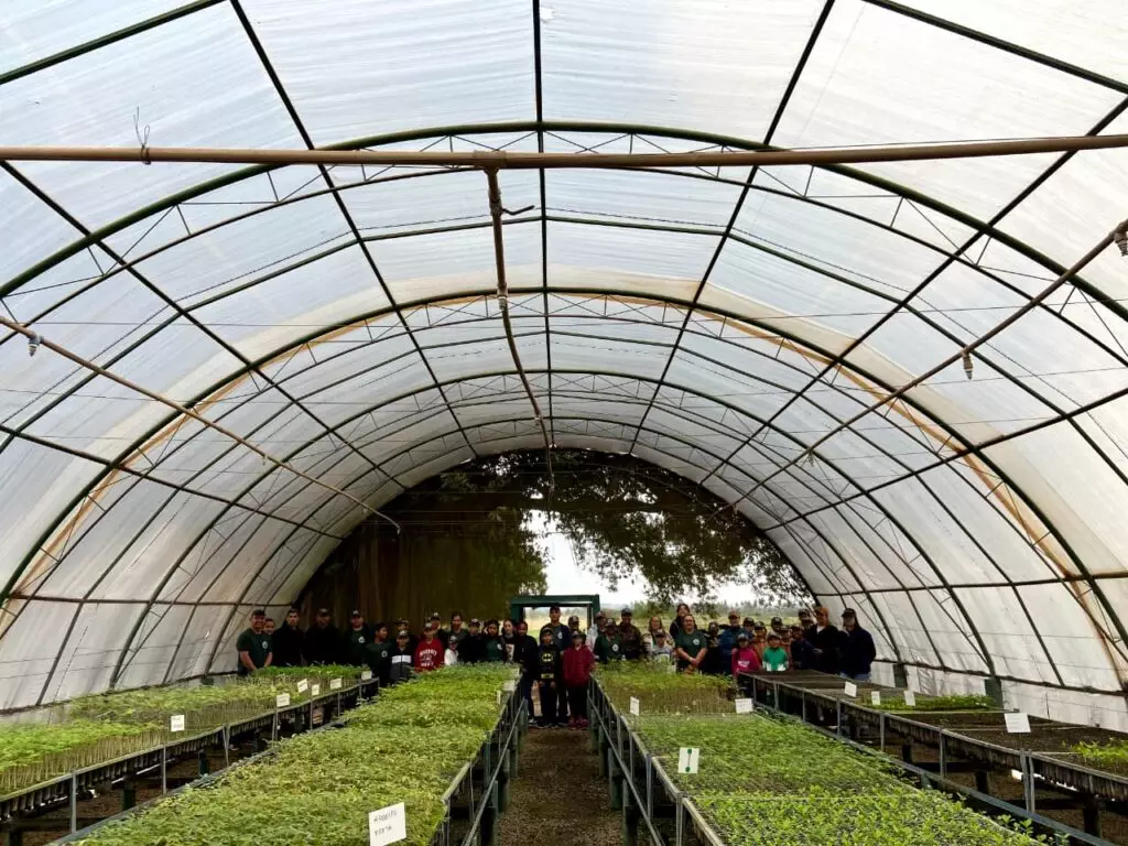 Projeto Florestinha de Amambai realiza dia de Educação Ambiental na Fazenda Green Farm, em Itaquiraí Projeto Florestinha de Amambai realiza dia de Educação Ambiental na Fazenda Green Farm, em Itaquiraí