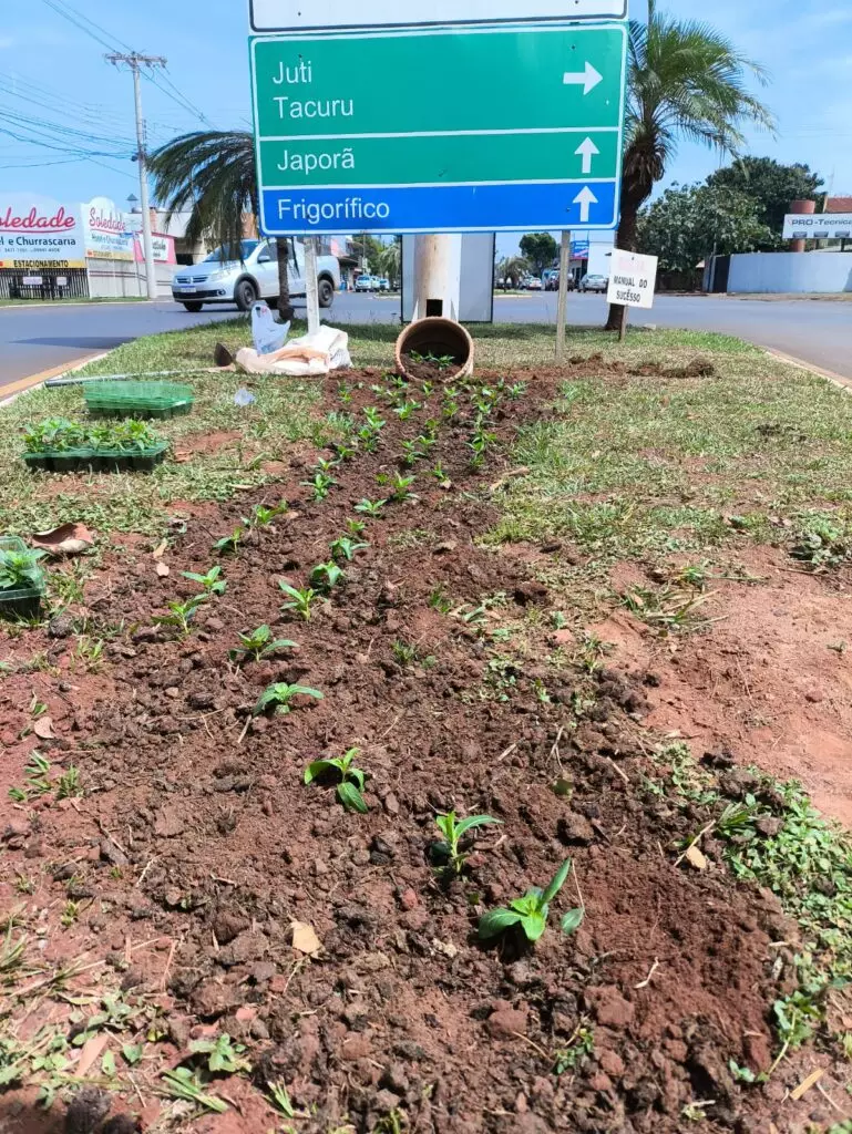 Secretaria de Meio Ambiente de Iguatemi realiza o plantio de mais de 1.500 mudas de plantas ornamentais na área central da cidade