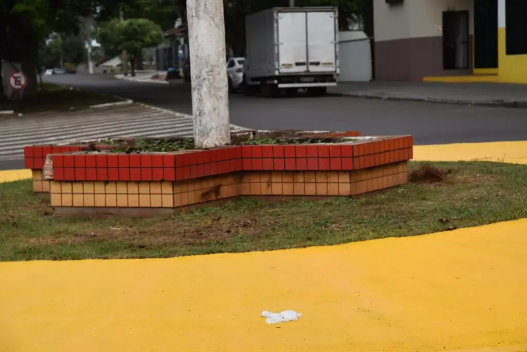 Secretaria de Meio Ambiente de Iguatemi realiza o plantio de mais de 1.500 mudas de plantas ornamentais na área central da cidade