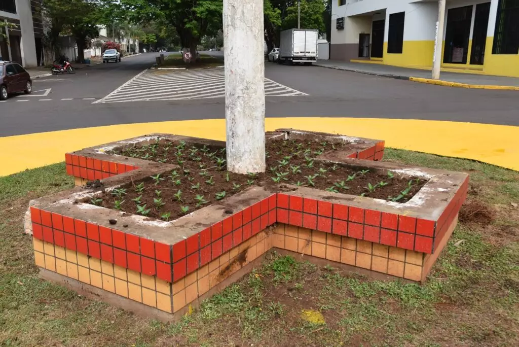 Secretaria de Meio Ambiente de Iguatemi realiza o plantio de mais de 1.500 mudas de plantas ornamentais na área central da cidade
