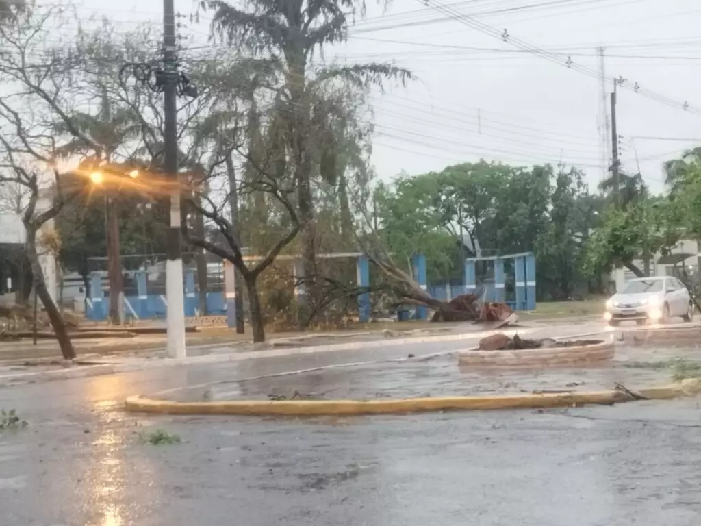 Temporal causa danos e deixa grande parte da cidade sem energia em Amambai