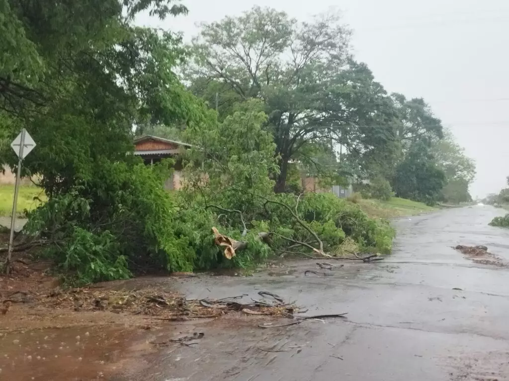 Temporal causa danos e deixa grande parte da cidade sem energia em Amambai