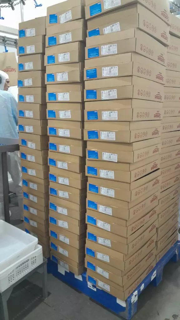 Presidente da Câmara vereador Darci visita frigorífico de frango no Paraná e destaca possibilidade da empresa se instalar em Amambai Presidente da Câmara vereador Darci visita frigorífico de frango no Paraná e destaca possibilidade da empresa se instalar em Amambai