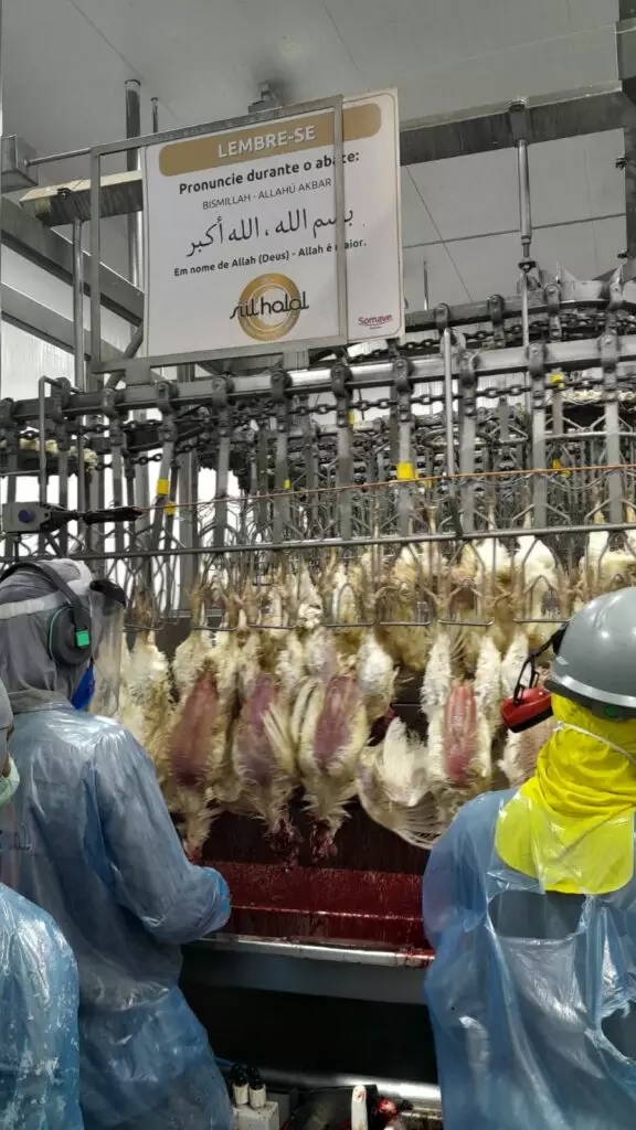 Presidente da Câmara vereador Darci visita frigorífico de frango no Paraná e destaca possibilidade da empresa se instalar em Amambai Presidente da Câmara vereador Darci visita frigorífico de frango no Paraná e destaca possibilidade da empresa se instalar em Amambai