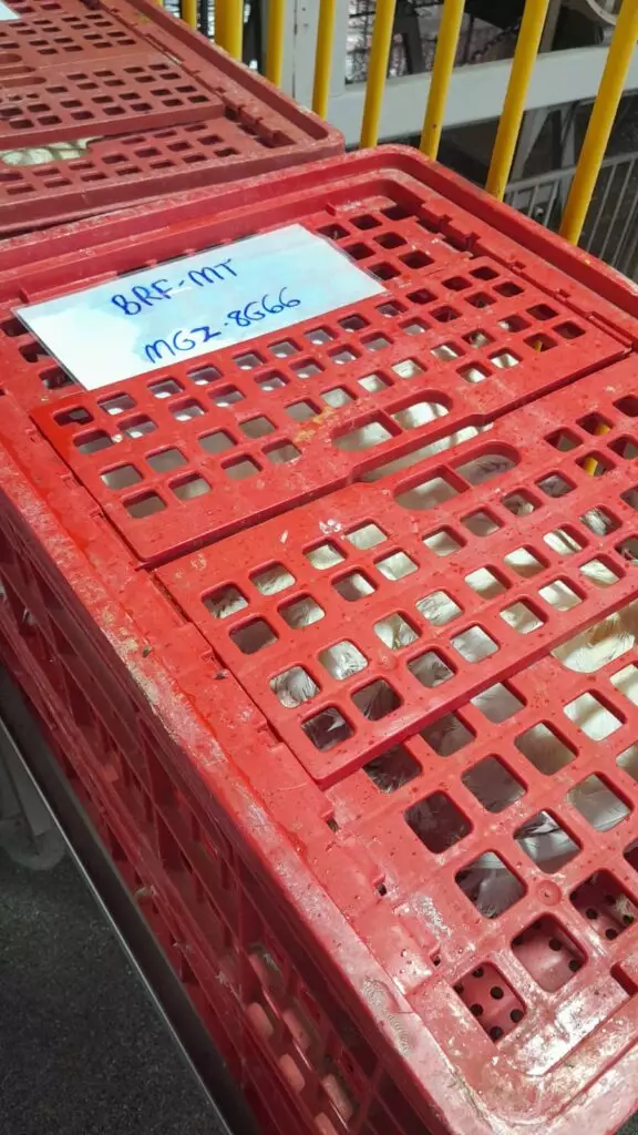 Presidente da Câmara vereador Darci visita frigorífico de frango no Paraná e destaca possibilidade da empresa se instalar em Amambai Presidente da Câmara vereador Darci visita frigorífico de frango no Paraná e destaca possibilidade da empresa se instalar em Amambai