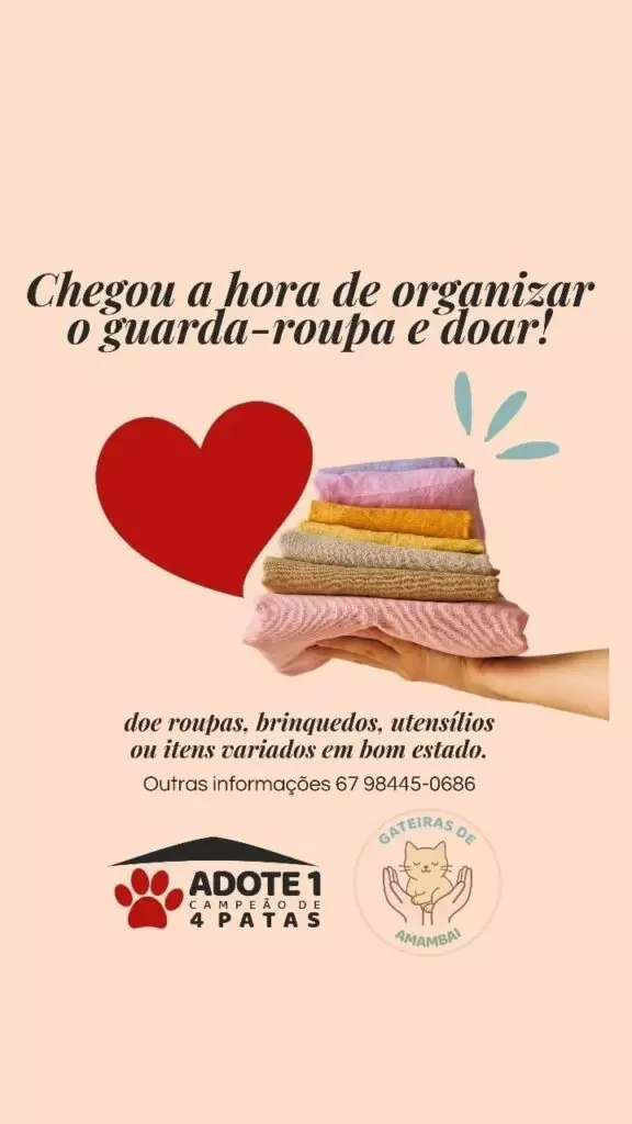 Bazar Solidário arrecada fundos para ajudar animais resgatados em Amambai