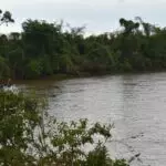 Com mais de 50 barcos e dezenas de pescadores 4º Torneio de Pesca de Iguatemi foi um verdadeiro sucesso sorteando barco, motor e carretinha Com mais de 50 barcos e dezenas de pescadores 4º Torneio de Pesca de Iguatemi foi um verdadeiro sucesso sorteando barco, motor e carretinha