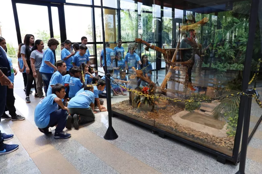Iguatemi: Secretaria de Assistência Social proporciona visita ao Bioparque Pantanal em Campo Grande para os alunos do Programa Novo Olhar Iguatemi: Secretaria de Assistência Social proporciona visita ao Bioparque Pantanal em Campo Grande para os alunos do Programa Novo Olhar