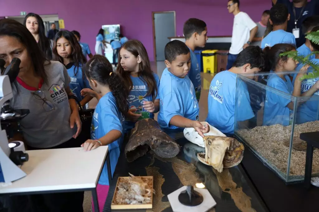 Iguatemi: Secretaria de Assistência Social proporciona visita ao Bioparque Pantanal em Campo Grande para os alunos do Programa Novo Olhar Iguatemi: Secretaria de Assistência Social proporciona visita ao Bioparque Pantanal em Campo Grande para os alunos do Programa Novo Olhar