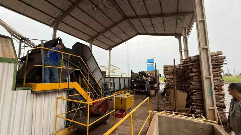Polícia Civil incinera 1,7 toneladas de entorpecente em Iguatemi