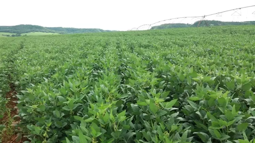 d2cf4789475f45d7af4bc9d4184e5b27_858x483