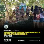 Exposição de animais taxidermizados do Projeto Florestinha em Amambai
