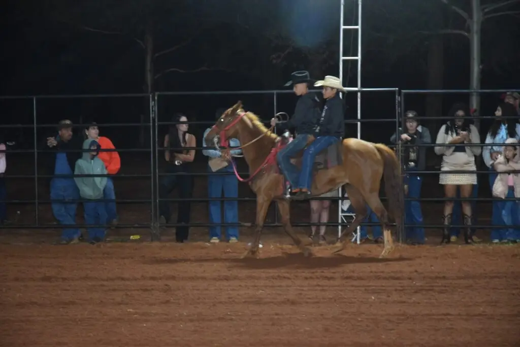 Iguatemi: Com três dias de competição e participação de 42 peões, 1º Rodeio Fest Show movimentou Assentamento Colorado e região