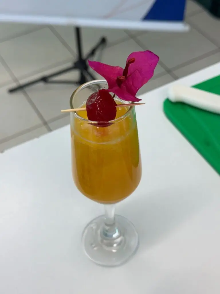 Curso de Batidas e Coquetéis capacita 15 alunos em Coronel Sapucaia Curso de Batidas e Coquetéis capacita 15 alunos em Coronel Sapucaia