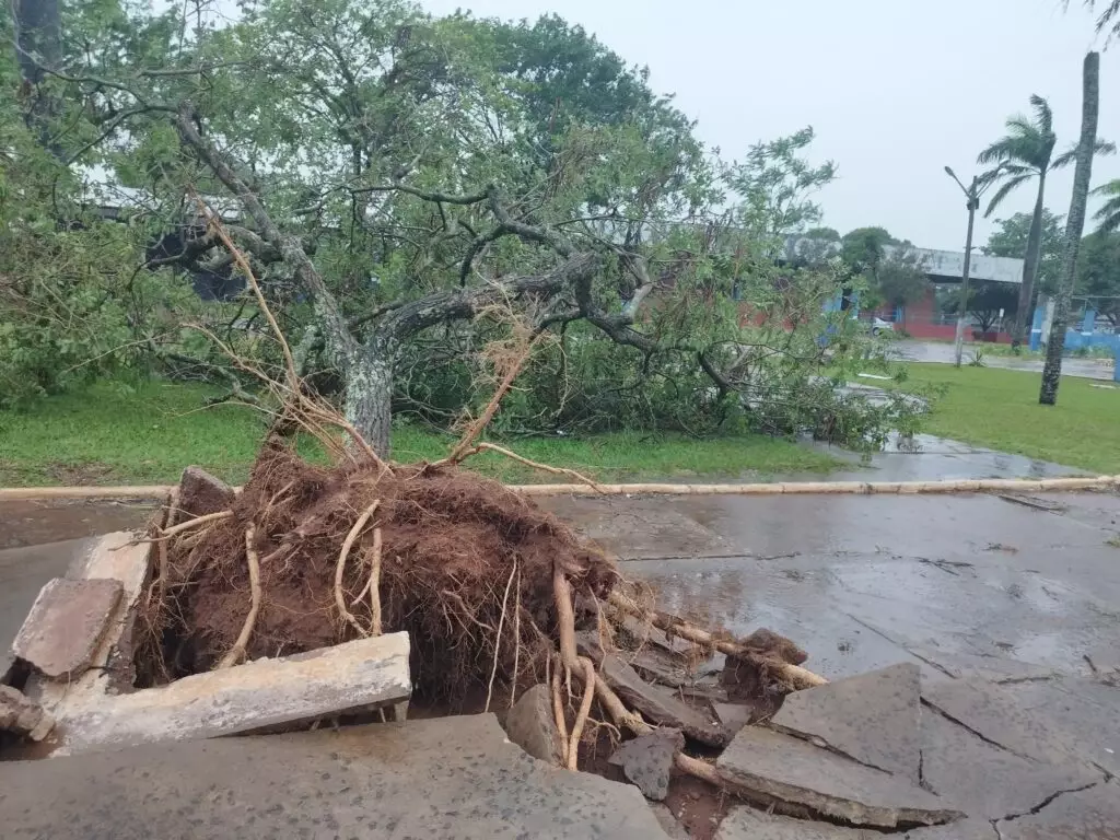 Novo temporal atinge Amambai na manhã desta quarta-feira