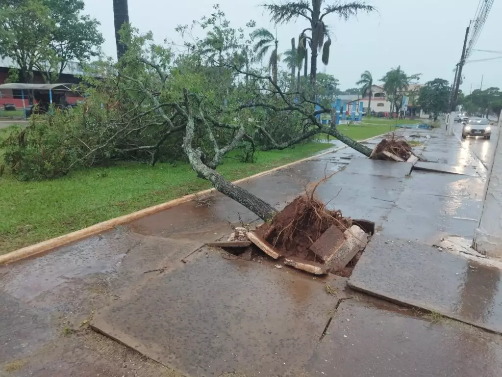 Novo temporal atinge Amambai na manhã desta quarta-feira