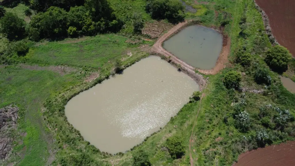 Caarapó: Prefeita Lurdes fortalece comunidade rural do Liberal com ações de infraestrutura e capacitação profissional Caarapó: Prefeita Lurdes fortalece comunidade rural do Liberal com ações de infraestrutura e capacitação profissional