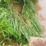 Prefeito de Sete Quedas tranquiliza população após chuvas intensas e informa início dos reparos