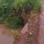 Prefeito de Sete Quedas tranquiliza população após chuvas intensas e informa início dos reparos