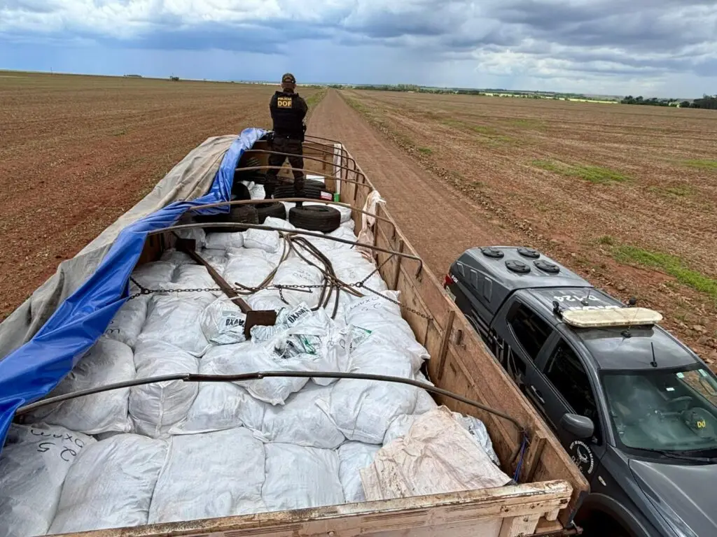 Com quase 200 toneladas em 2025, DOF registra a 2ª maior marca histórica em apreensões de drogas Com quase 200 toneladas em 2025, DOF registra a 2ª maior marca histórica em apreensões de drogas