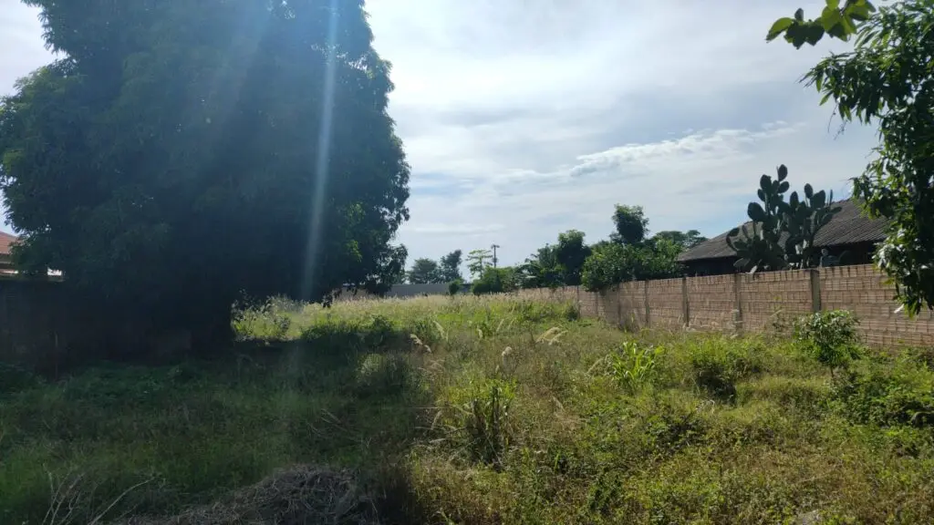 Japorã contratou diaristas para mobilização de combate à dengue