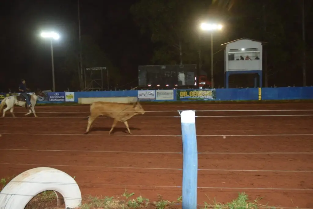 Iguatemi é sede do 14º Encontro do Laço Comprido Profissional realizado pela Federação Estadual em parceria com o Clube Estrela