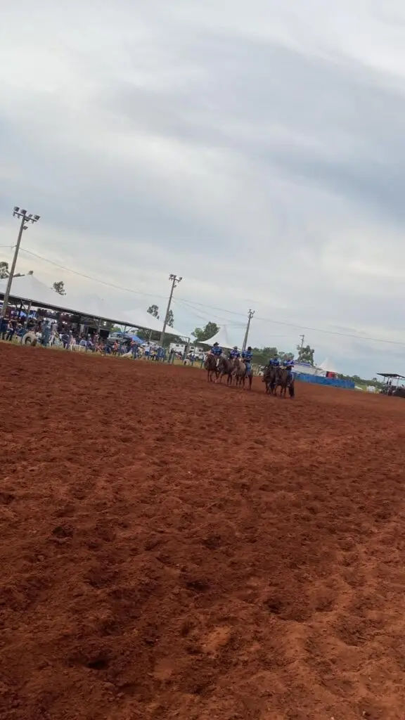14º Encontro Estadual do Laço reuniu mais de 500 laçadores no último final de semana no Parque de Exposições em Iguatemi
