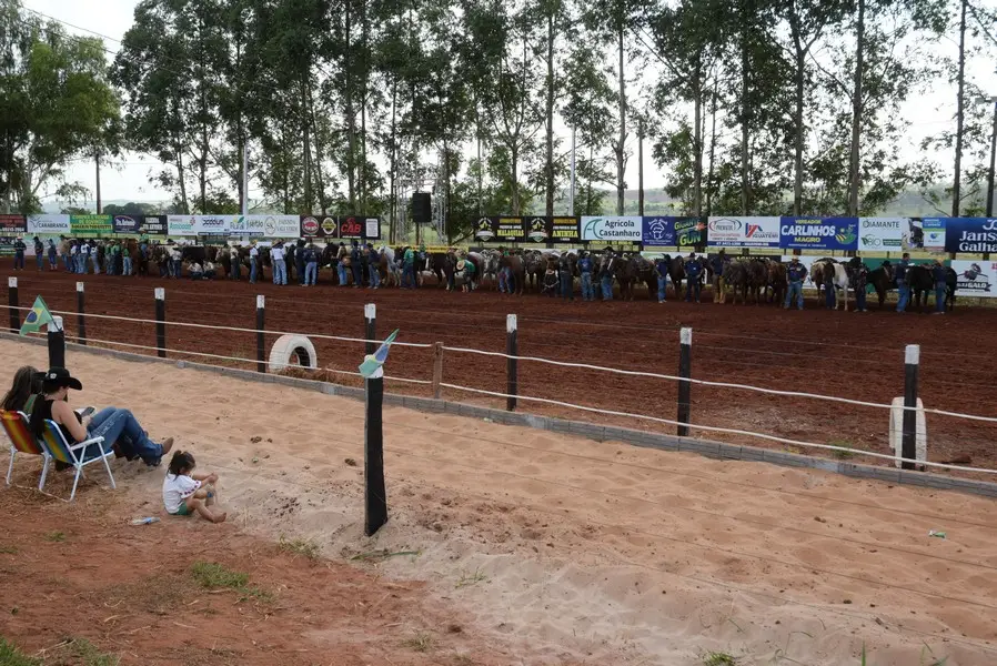 1ª etapa do Circuito Profissional do Laço Comprido Fazenda Tuneiras – CPLFT foi um verdadeiro sucesso em Iguatemi