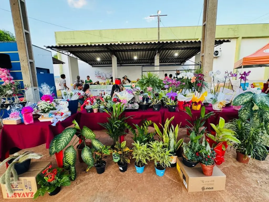 Feira reúne produtores rurais e empreendedores em Tacuru