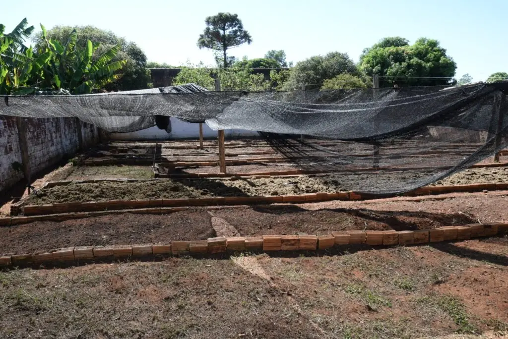 Iguatemi: Projeto ‘Horta na Escola”, desenvolvido pela Itaipu Binacional foi realizado com alunos da educação infantil Sala Arco-Íris