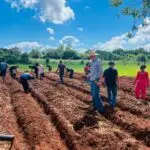 Amambai: Oficina de horta promoveu sustentabilidade e aprendizado na Escola Municipal Mitã Rory