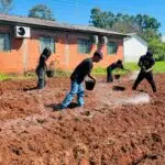 Amambai: Oficina de horta promoveu sustentabilidade e aprendizado na Escola Municipal Mitã Rory