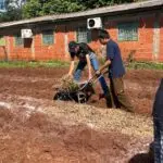 Amambai: Oficina de horta promoveu sustentabilidade e aprendizado na Escola Municipal Mitã Rory