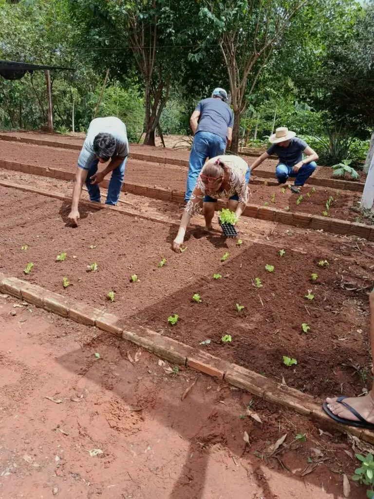 Tacuru: Ação de fortalecimento na Horta Municipal é realizada em parceria com a Itaipu Binacional Tacuru: Ação de fortalecimento na Horta Municipal é realizada em parceria com a Itaipu Binacional