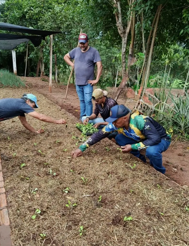 Tacuru: Ação de fortalecimento na Horta Municipal é realizada em parceria com a Itaipu Binacional Tacuru: Ação de fortalecimento na Horta Municipal é realizada em parceria com a Itaipu Binacional