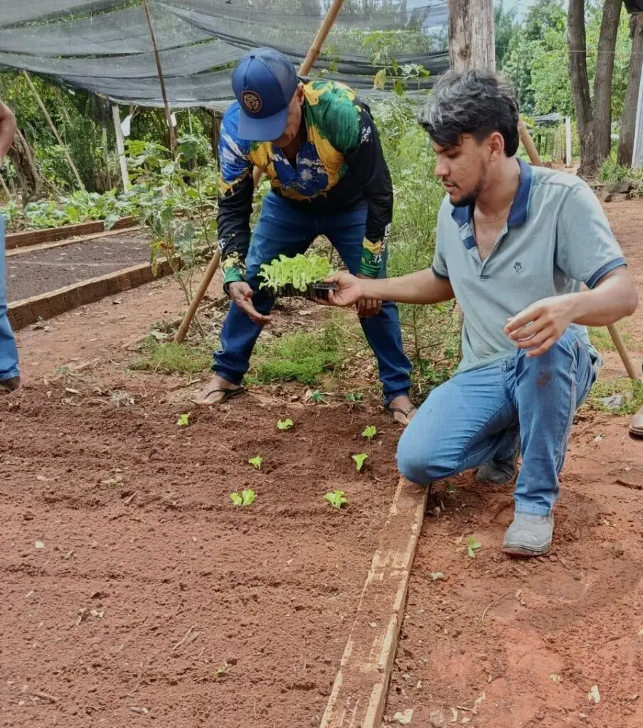 Tacuru: Ação de fortalecimento na Horta Municipal é realizada em parceria com a Itaipu Binacional Tacuru: Ação de fortalecimento na Horta Municipal é realizada em parceria com a Itaipu Binacional