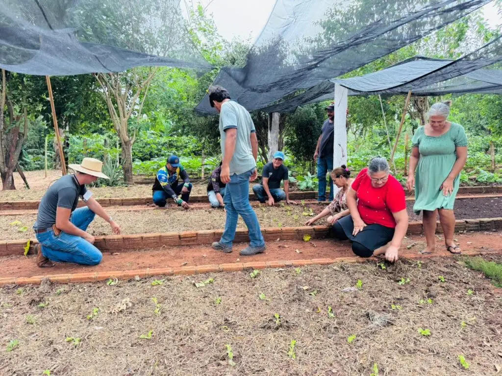 Tacuru: Ação de fortalecimento na Horta Municipal é realizada em parceria com a Itaipu Binacional Tacuru: Ação de fortalecimento na Horta Municipal é realizada em parceria com a Itaipu Binacional