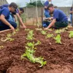 Projeto Itaipu Parquetec realiza oficina de hortas em Sete Quedas (MS)