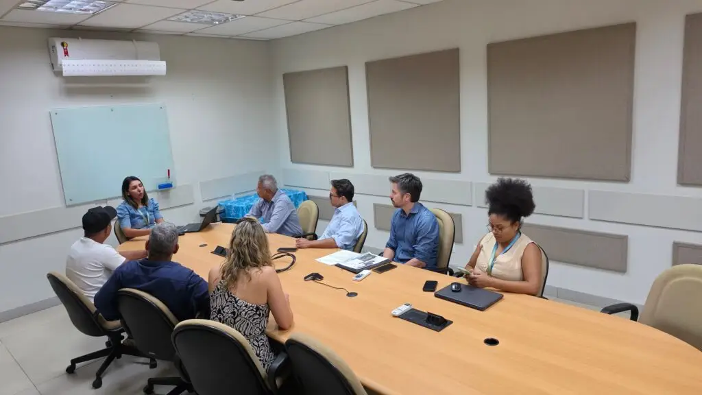 Com deputado Pedrossian Neto, presidente da Câmara e vereadores levam demandas de Amambai à Energisa