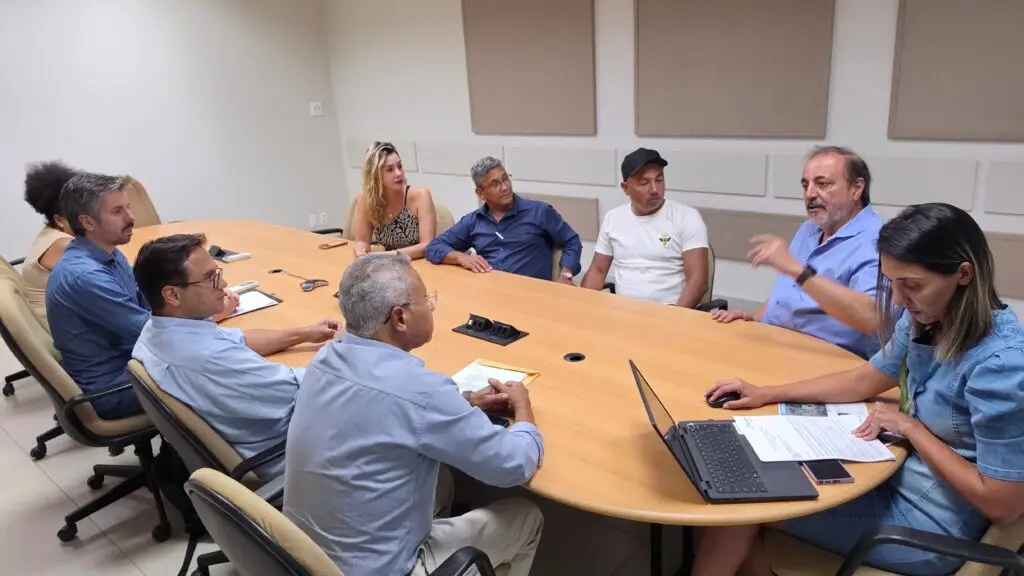 Com deputado Pedrossian Neto, presidente da Câmara e vereadores levam demandas de Amambai à Energisa