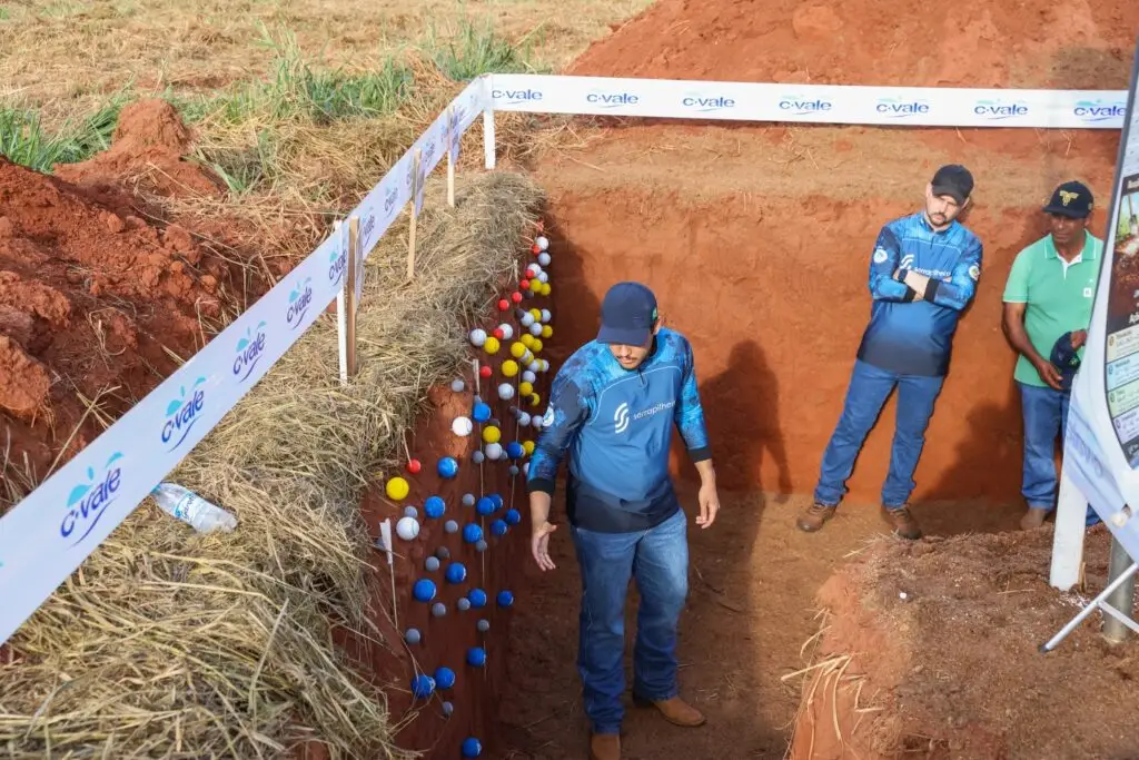 Dia de Campo do Amendoim reúne produtores rurais em Eldorado