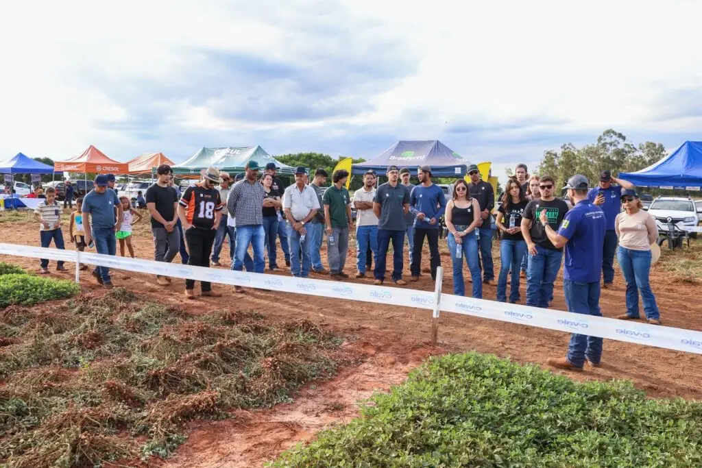 Dia de Campo do Amendoim reúne produtores rurais em Eldorado