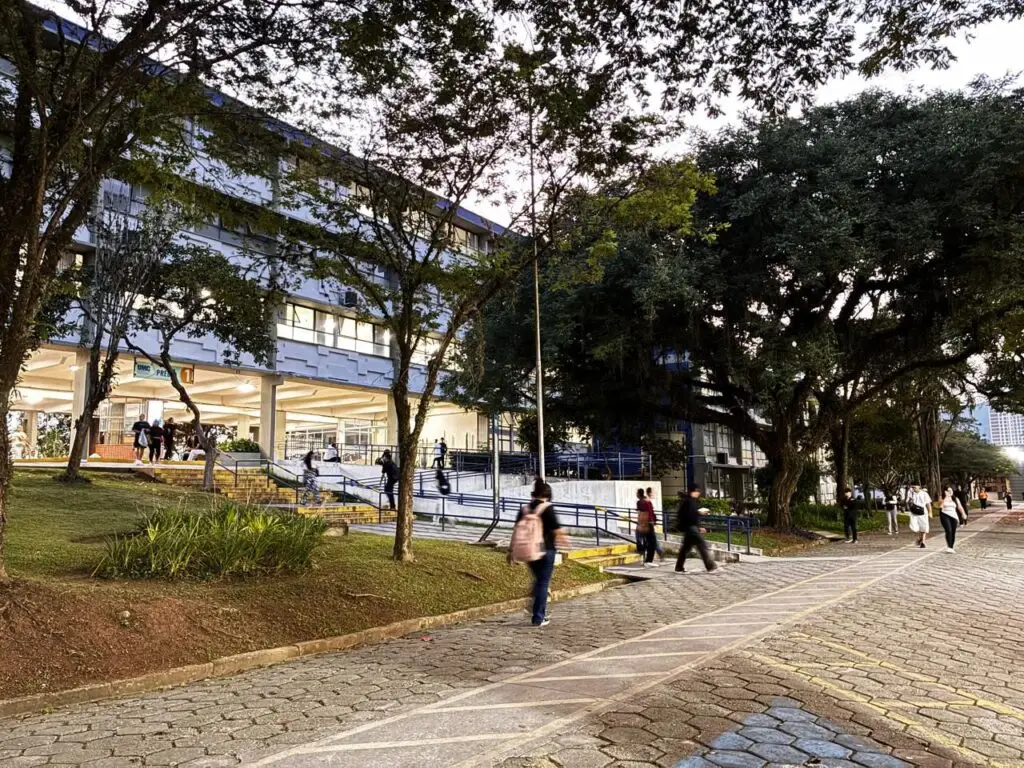 Urbanização descontrolada causa invasão de formigas-de-fogo pelo Brasil e risco à saúde, alerta pesquisa da UMC