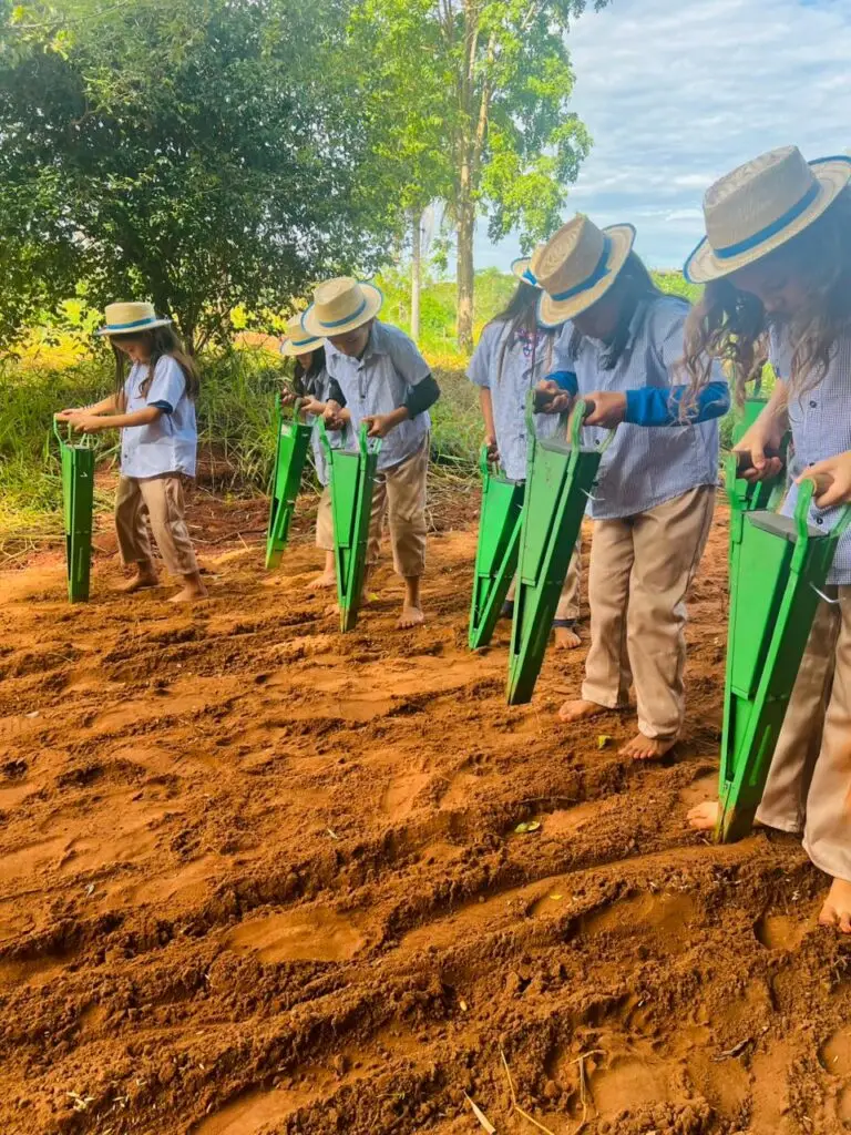 Gincana “Pequenino Agricultor” promove aprendizado prático e valorização da história no campo em Amambai