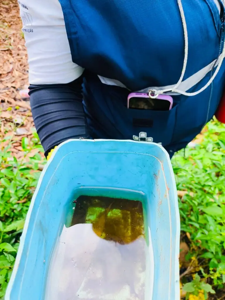 Ação conjunta mobiliza comunidade indígena no combate à dengue em Amambai
